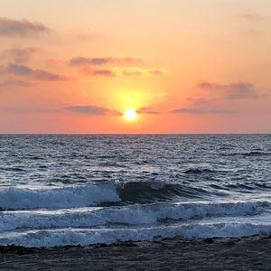 Meet your Posher, Bella